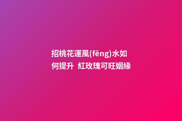招桃花運風(fēng)水如何提升  紅玫瑰可旺姻緣